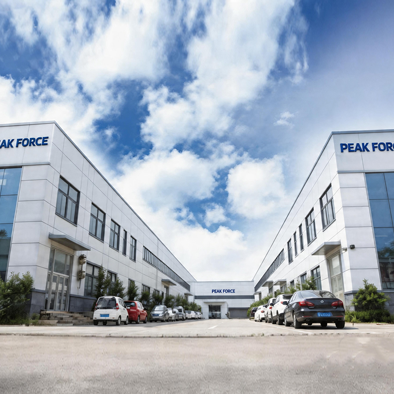 PEAK FORCE Company